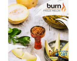 Табак Burn Freeze Melon (Дыня Мята) 25г Акцизный